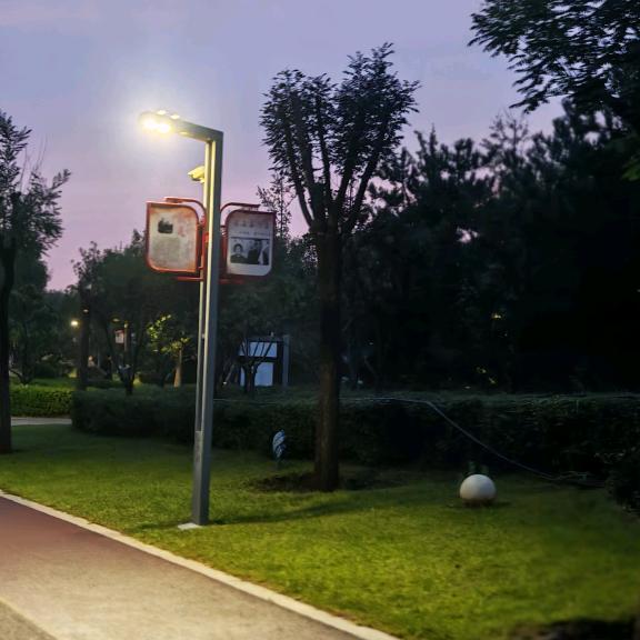 武姐（牵线搭桥）