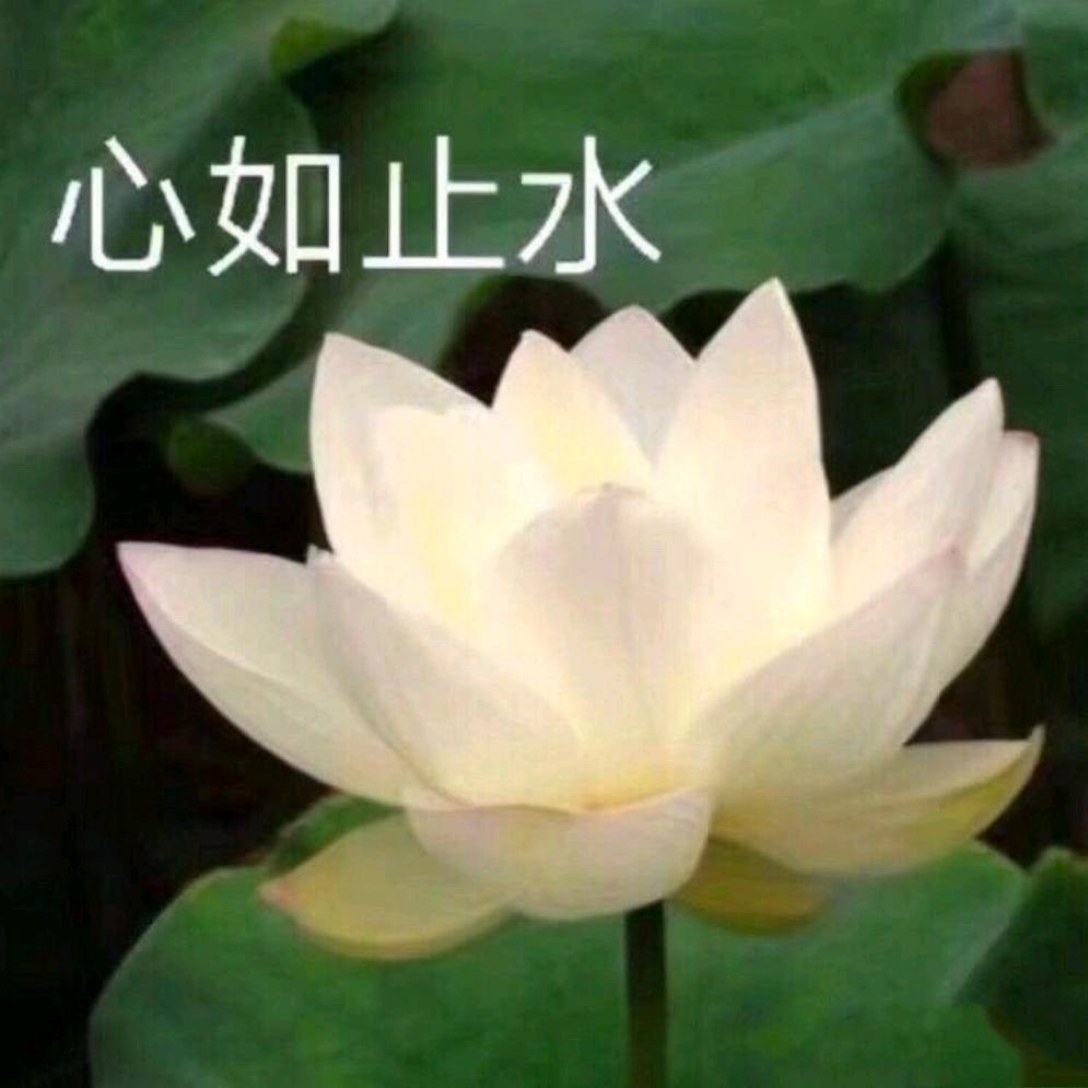 我爱抖音《早上10点20首播》