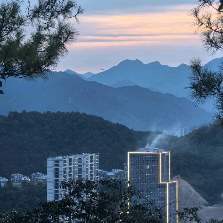 一草一木一世界