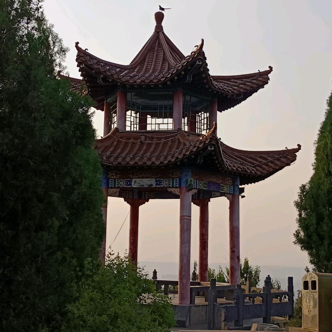 短剧漂流666