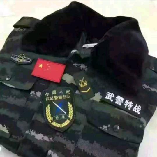 🍁不争潮汐🍁