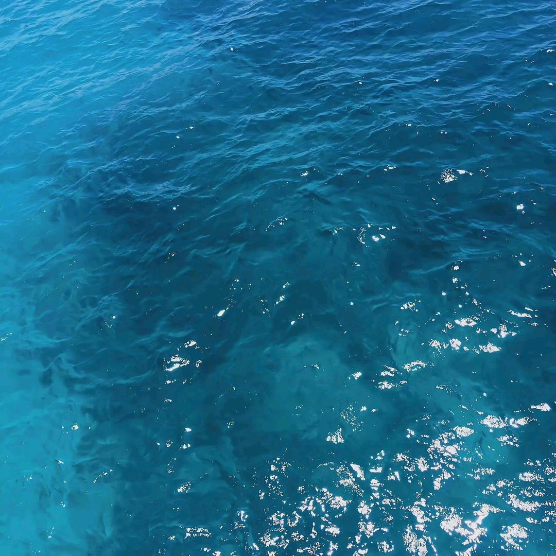 啊升在等程艾影