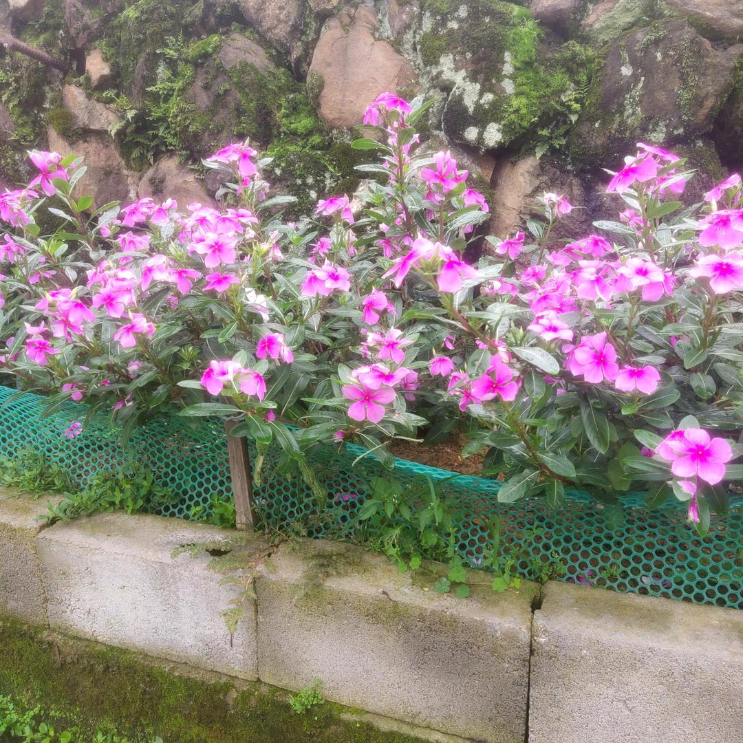 有要请小工的可以连系我