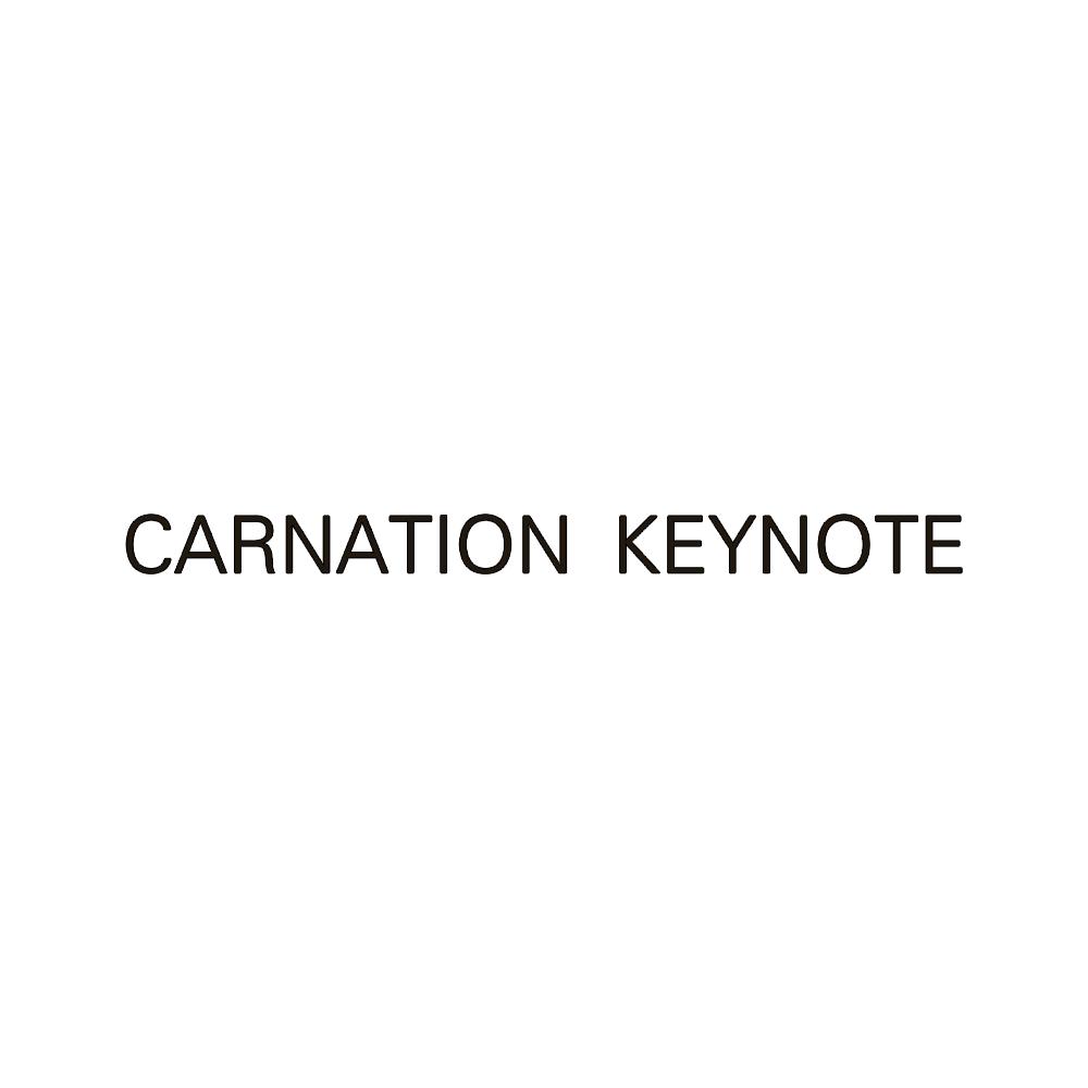 CARNATION KEYNOTE内裤店