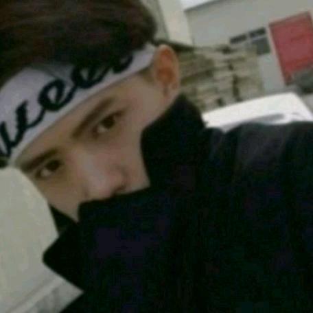 傲雪凌霜，感谢一路陪伴❤️