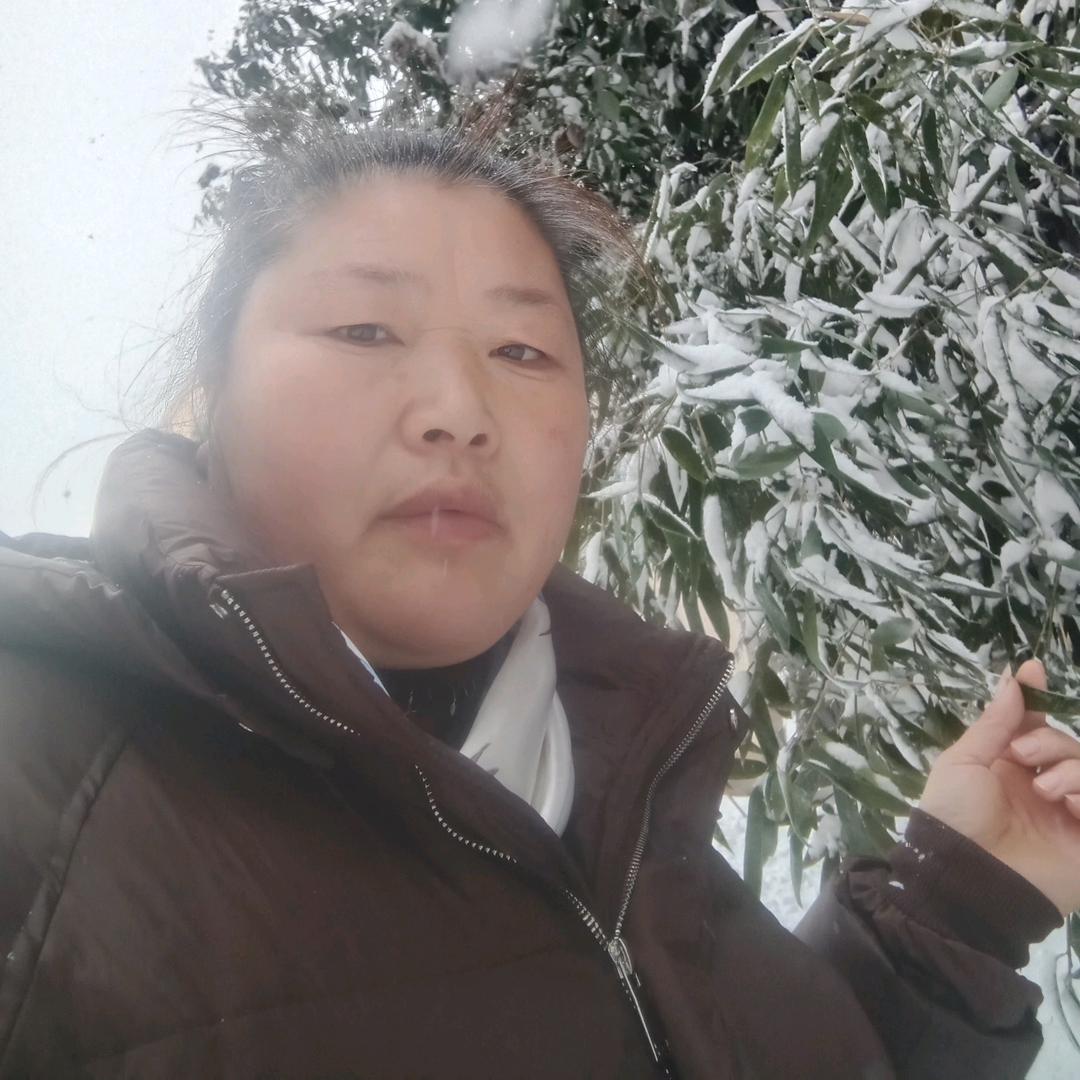 胖奶