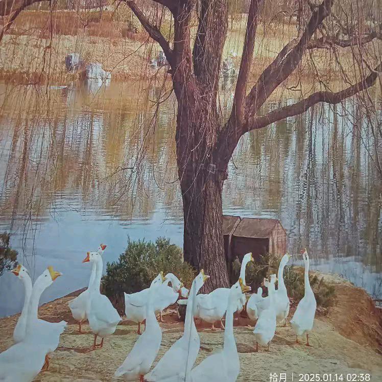 拾   月