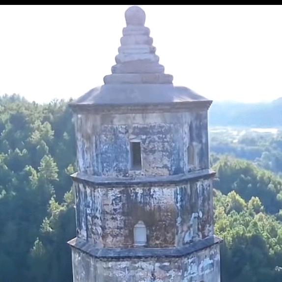 海燕飞舞，刘新余