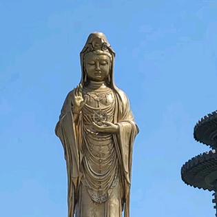 旭日东升，未来可期