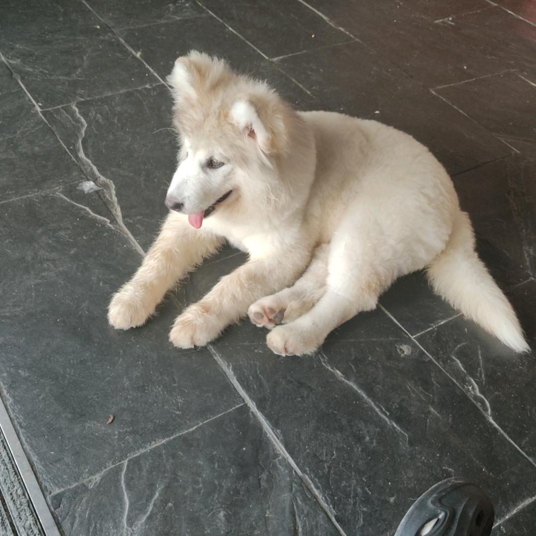 面向太阳🌞