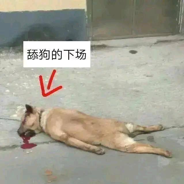 过期的秋刀鱼