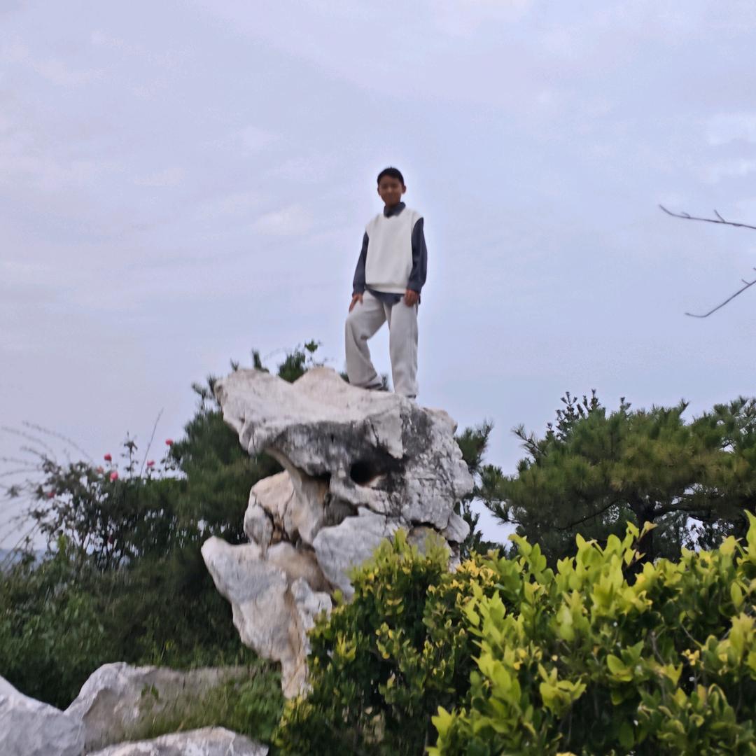何田氏家