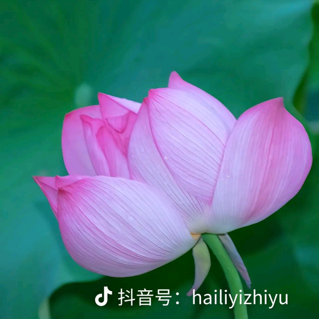 坤888