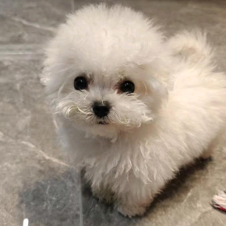 可爱ớ ₃ờ摇粒绒