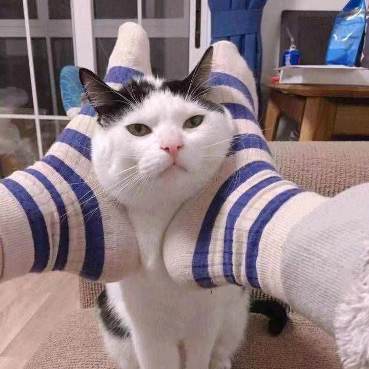 ᦗᩚ 兜兜有米ృ