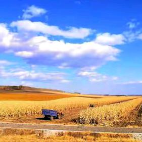 烤玉米美食出租帐篷拱门