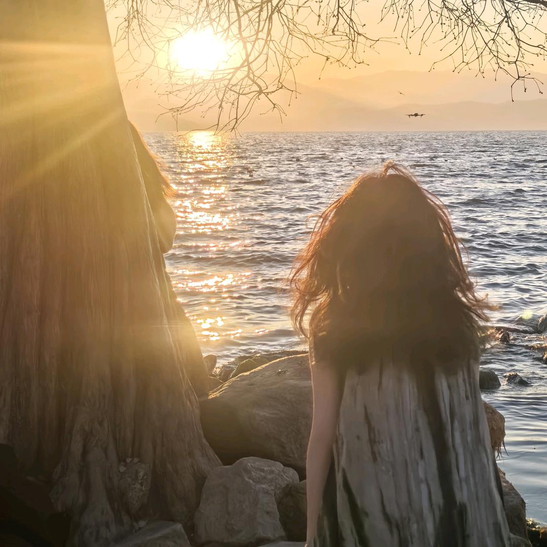 黄昏贩卖月亮🌙