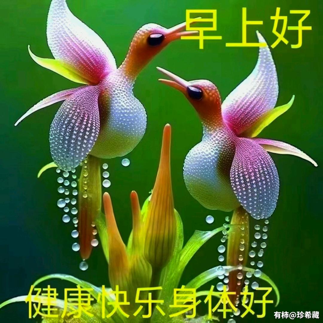 快乐一'生