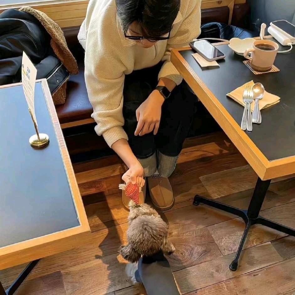啦啦啦啦