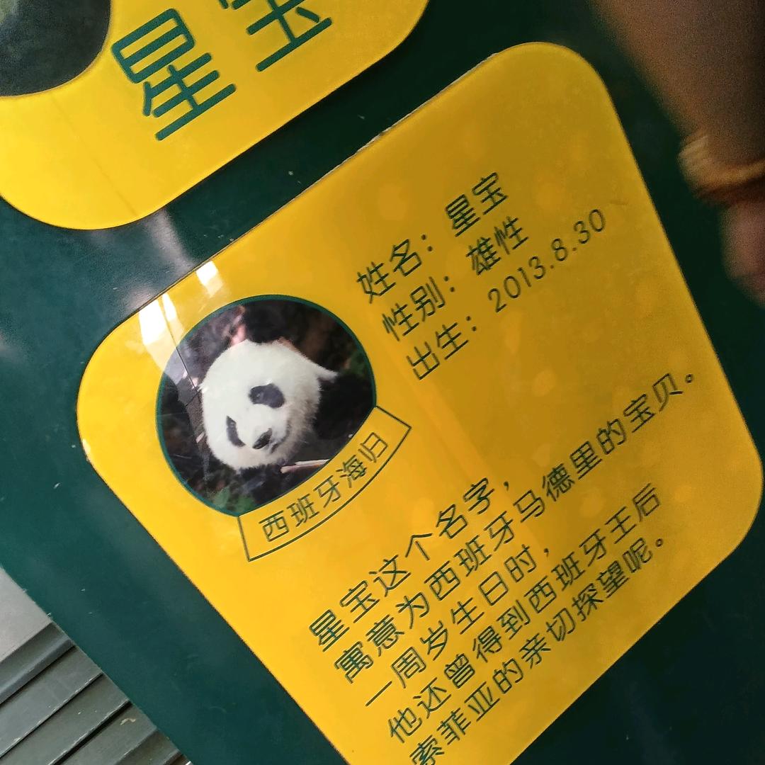 专业焊贺小坤