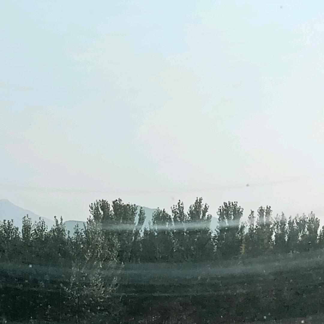 不会游泳的🐟