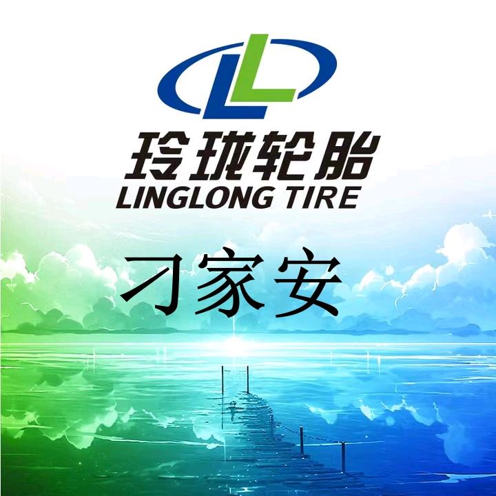 大轮闯天下