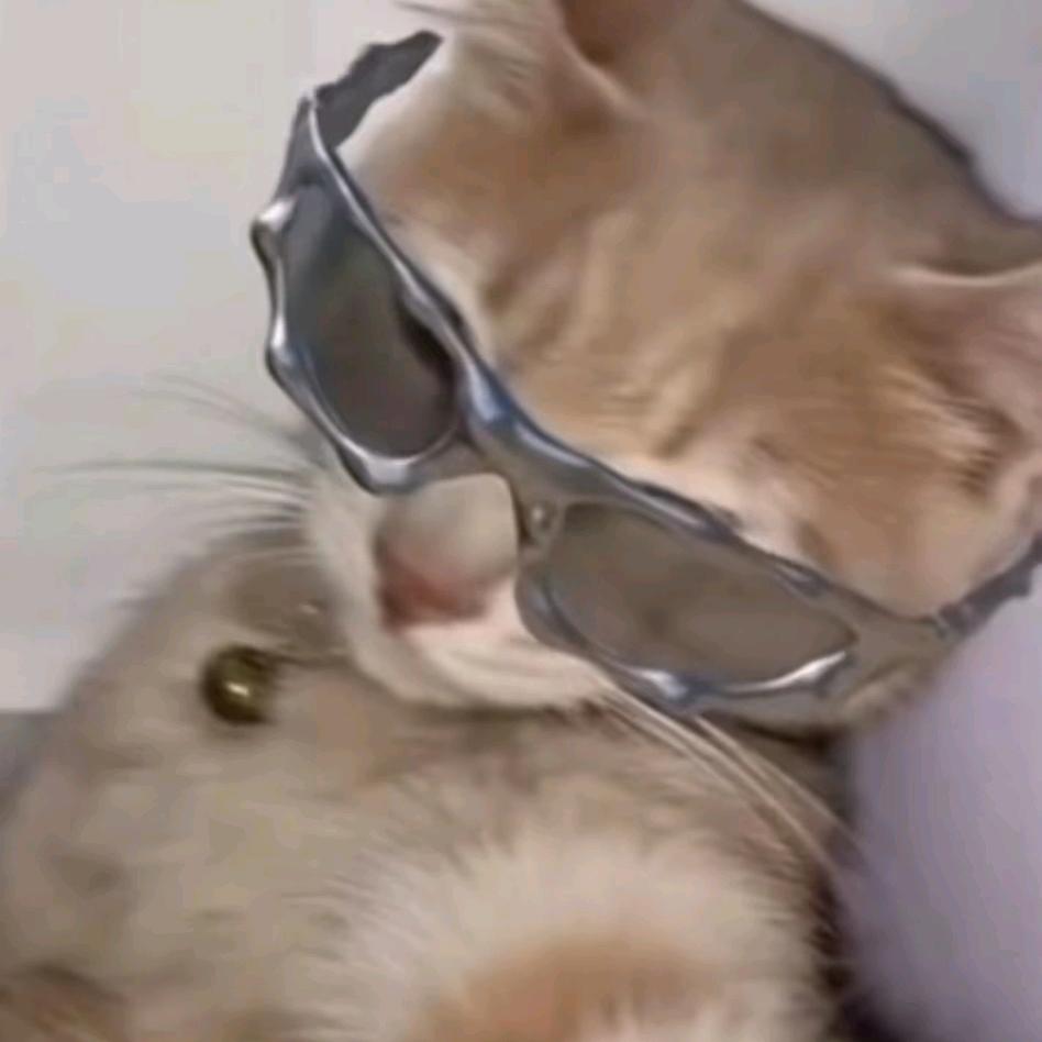 旅人和猫