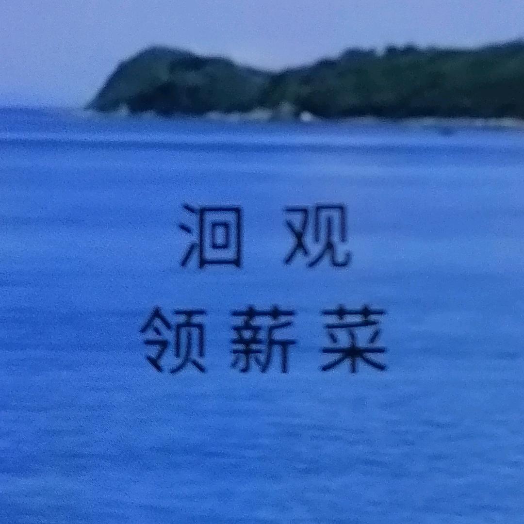 洄观   领薪菜