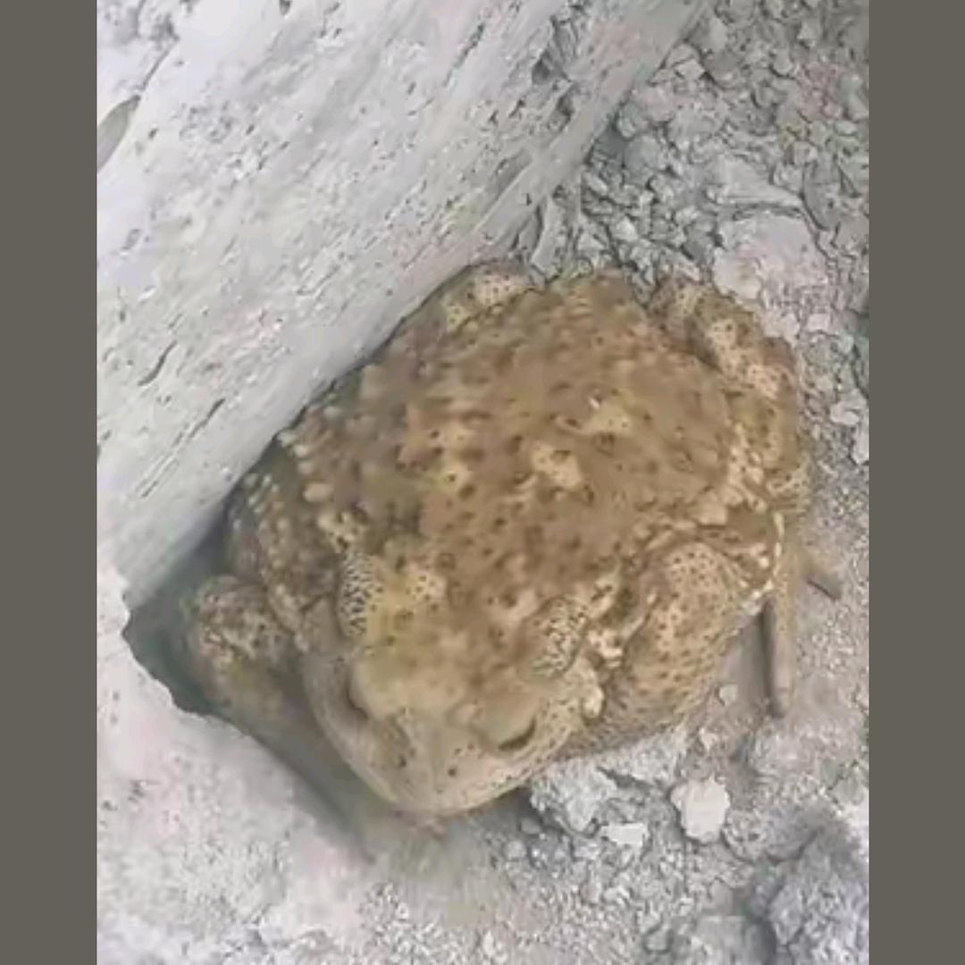 遇见你眞好