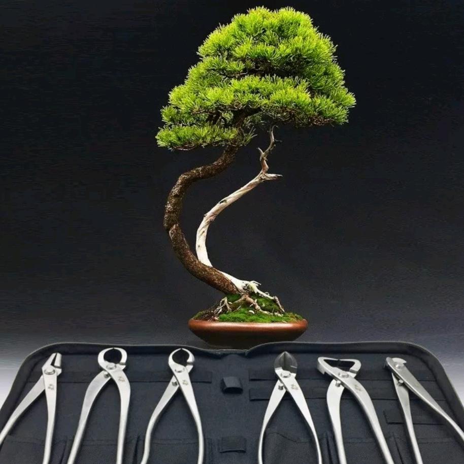 巨恒盆景园林工具店