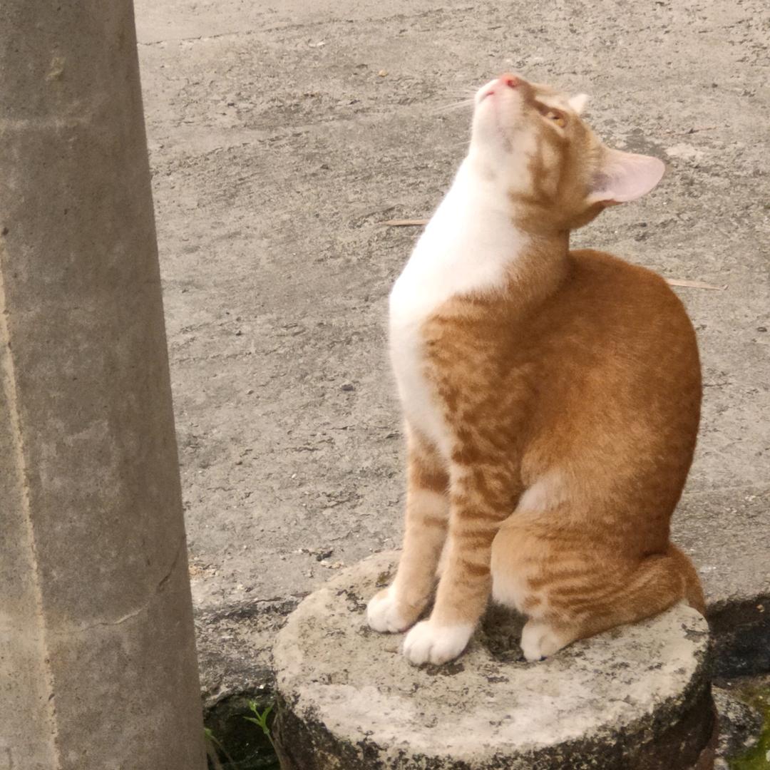 ⭐️八方来财⭐️