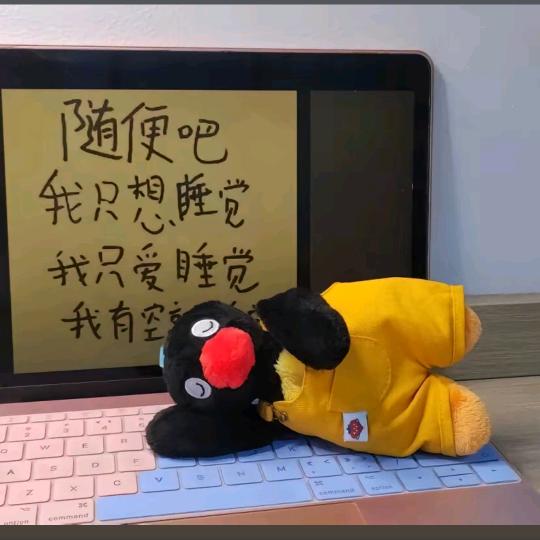 早睡不会掉头发