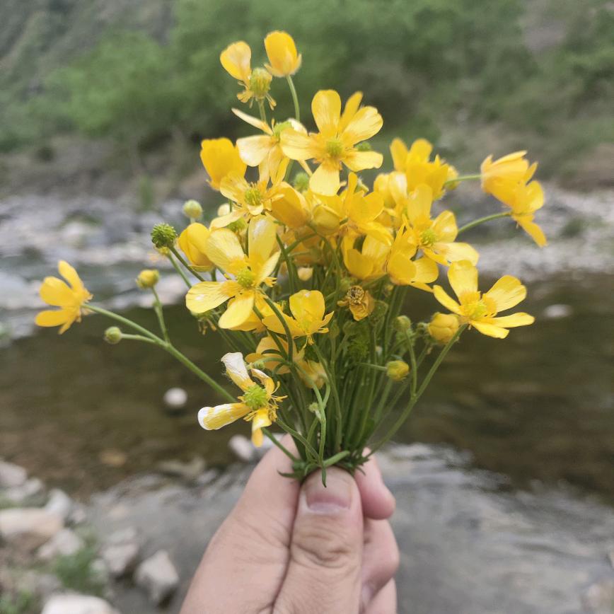 雾岭鲜仓（个体工商户）