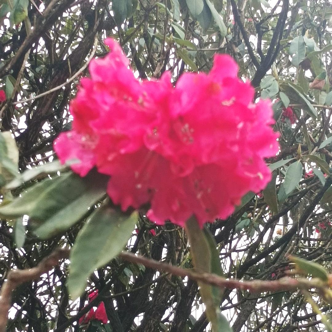 清者自清万人时。