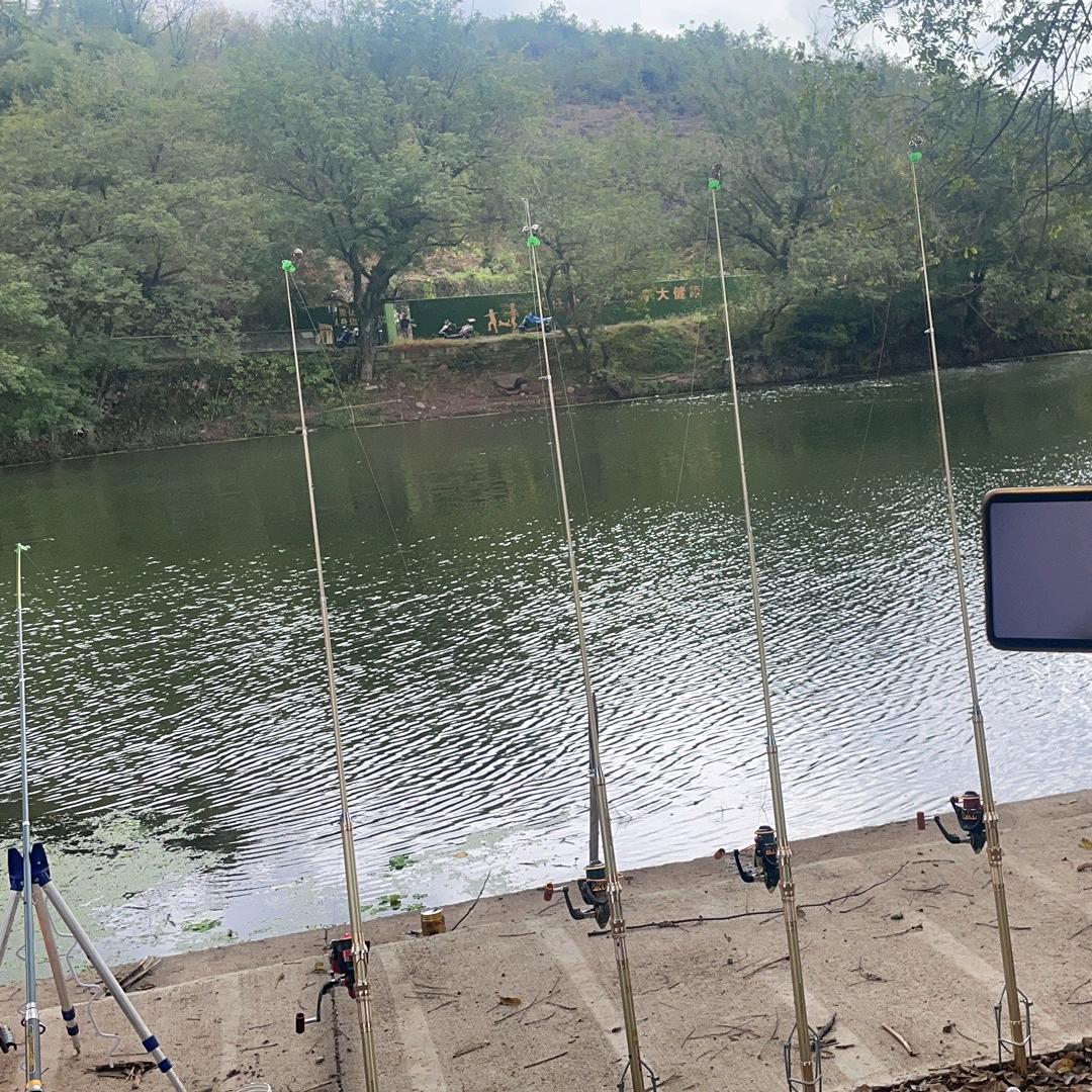 玉雨鱼