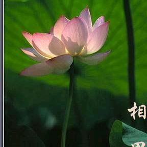 幸福瞬间