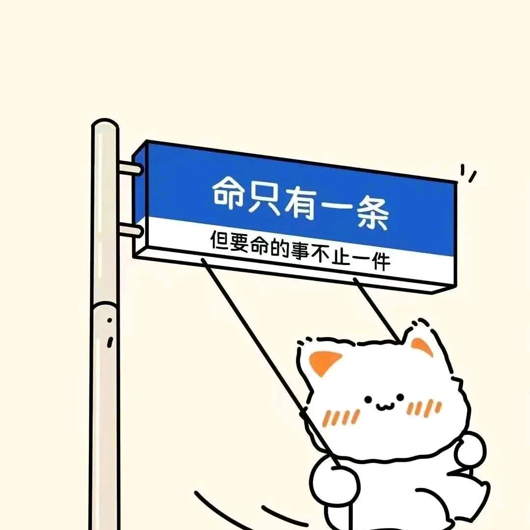清晨阳光