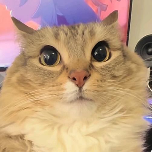 芙蓉兴盛便利超市(山河锦园店)丝丝甜甜直播号