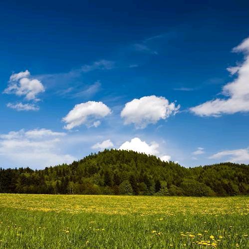 🍃無✨️味🍃