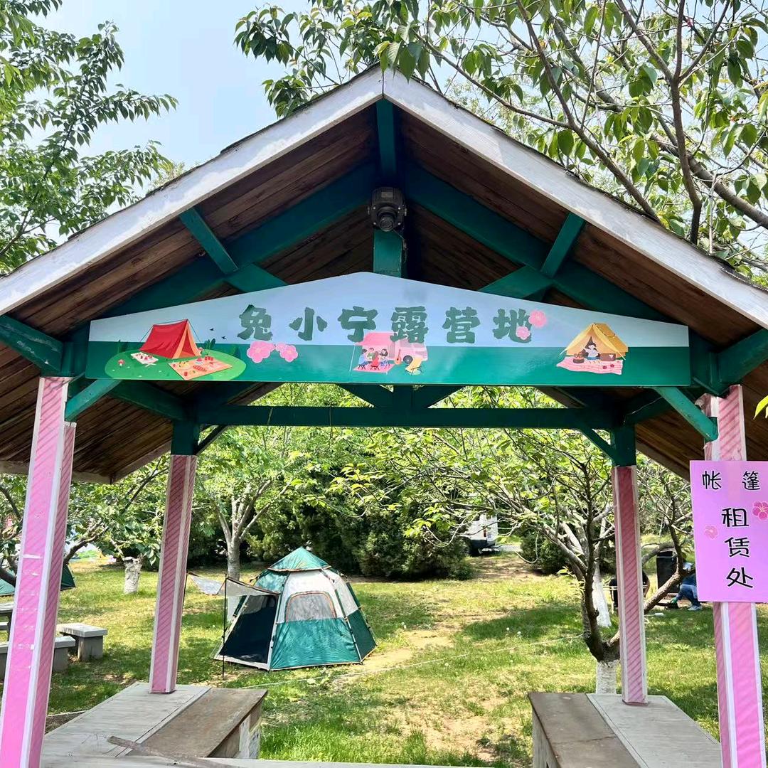 旅顺樱花园露营地👉小旭