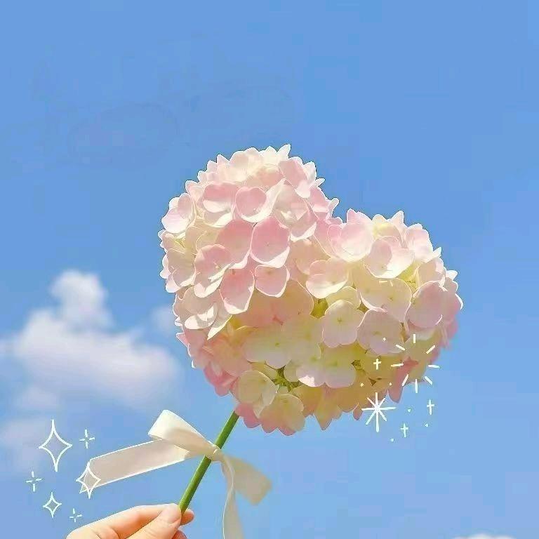 এ᭄抬头👀ཽ天空ꦿ࿐