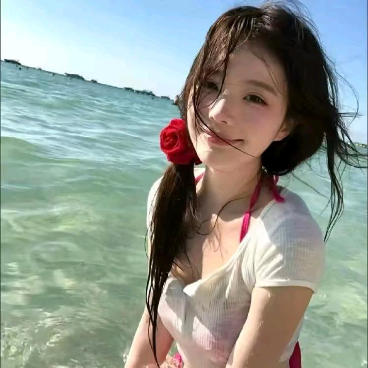 海豚精选好物