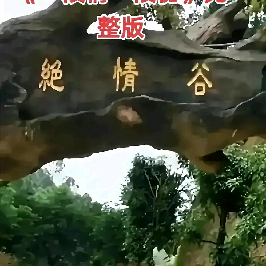 娜毅的爸爸(单亲)