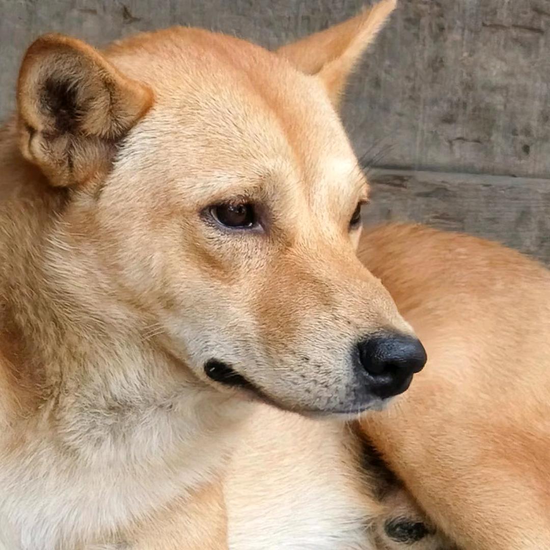 打工难，肖大哥，