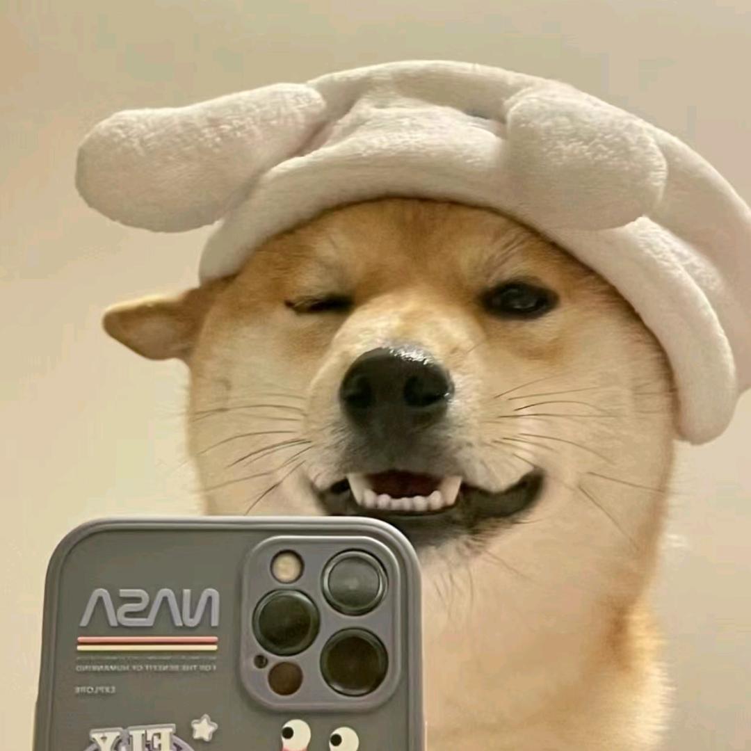 罗较瘦