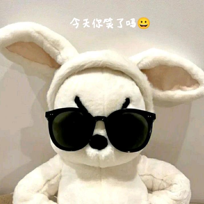 大脸喵喵喵