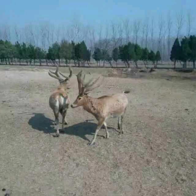 网连