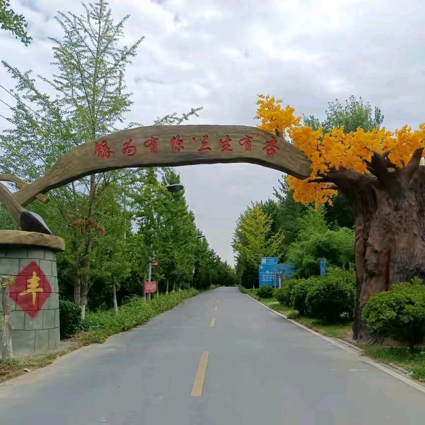 忘掉过去，想着未来
