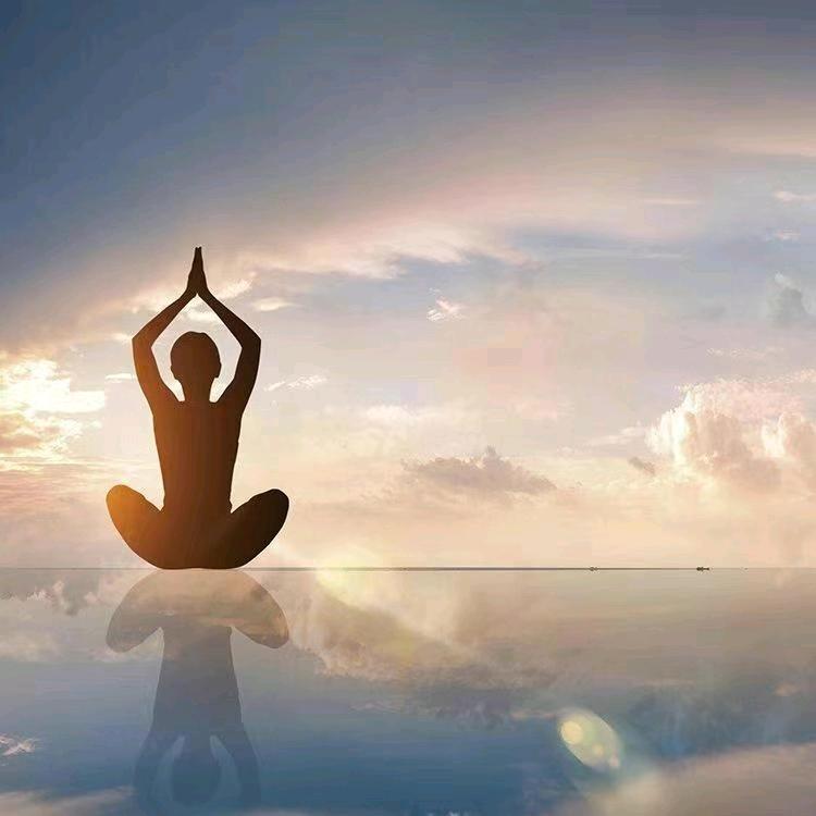 大度的熊猫龙。