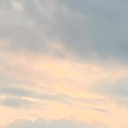 筱筱筱